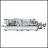 Offering Horizontal Form Fill Seal Machines, Soda Filling And Screw Capping Machine, form fill & seal machines offered by Sidsam Group.
