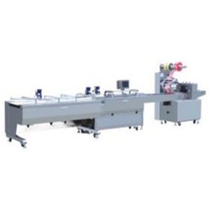 Horizontal Flow Wrap Machine