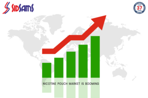 Nicotine Pouch Market Is Booming